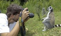 фотохостинг
